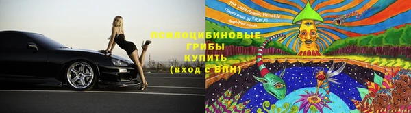 хмурый Дмитровск
