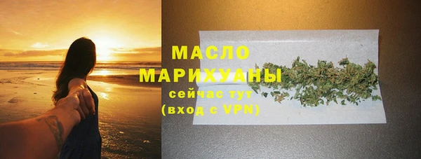хмурый Дмитровск