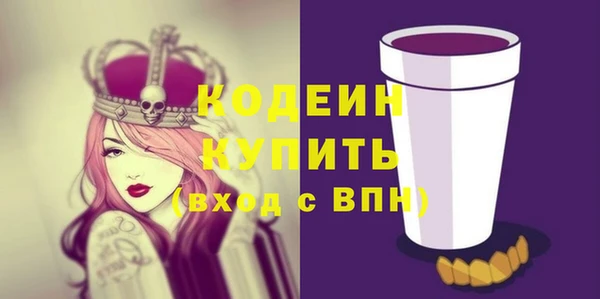хмурый Дмитровск