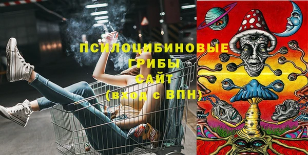 a pvp Дмитриев