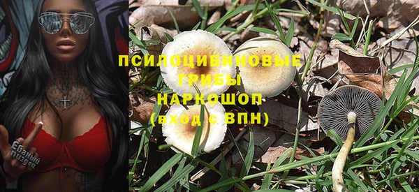 a pvp Дмитриев