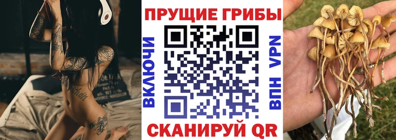 Купить закладки  Конаково  Галлюциногенные грибы Magic Shrooms 