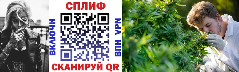 Каннабис конопля  Купить закладки  Конаково 